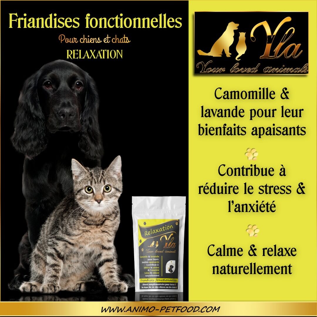 friandises-relaxation-sans-cereales-chien-chat